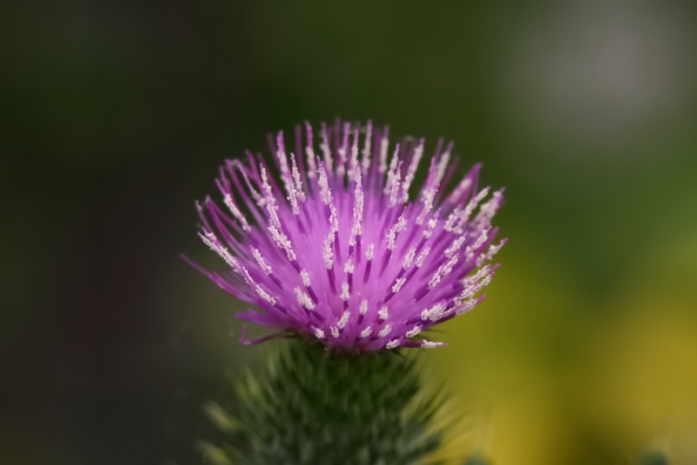 2013 10 08 HTP 13159